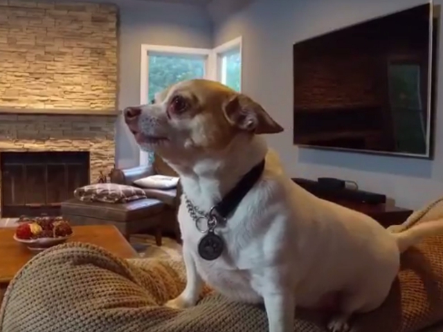 about us owings brothers contracting