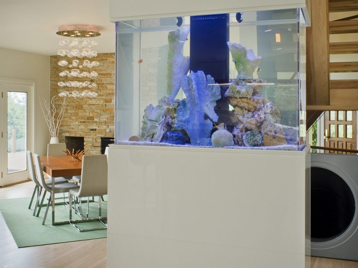 Home aquarium room divider by Owings Brothers Contracting