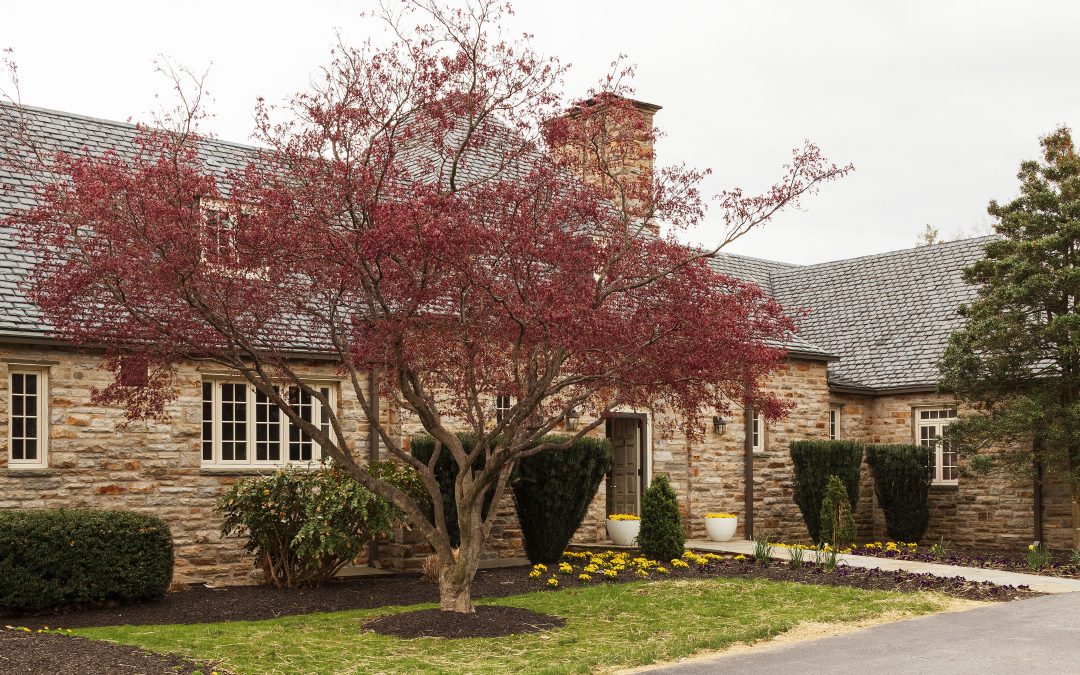 Board Room Renovation