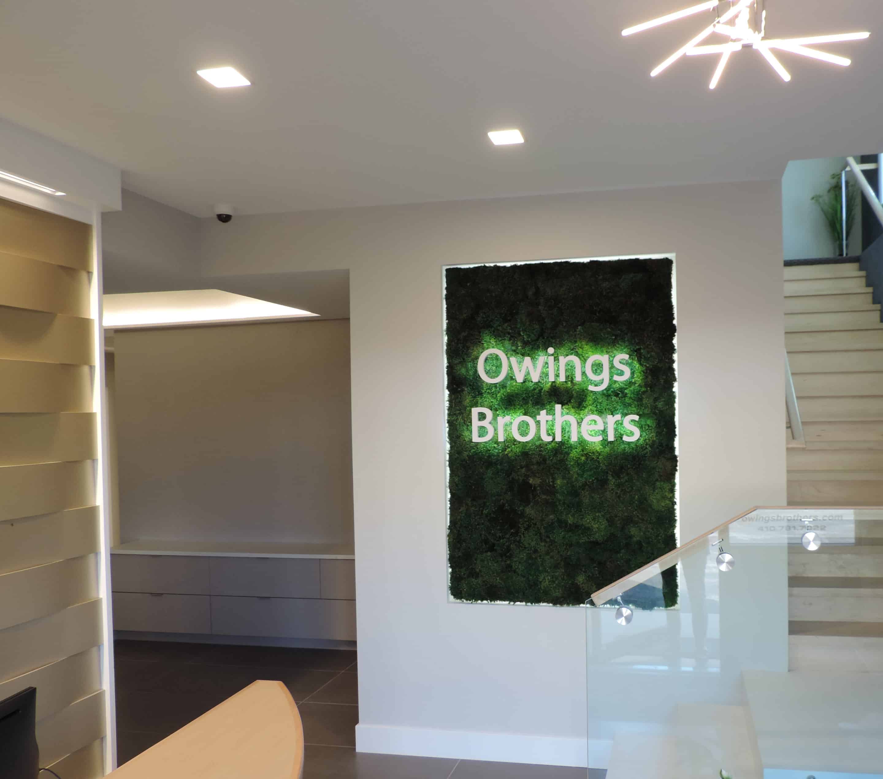 LED Decorative Lighting