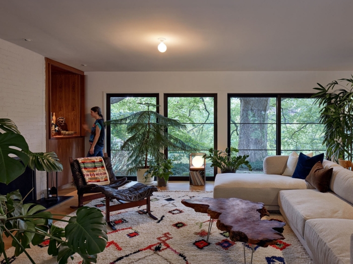 contemporary living room with plants and southwest accents